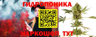 mdma Заволжье
