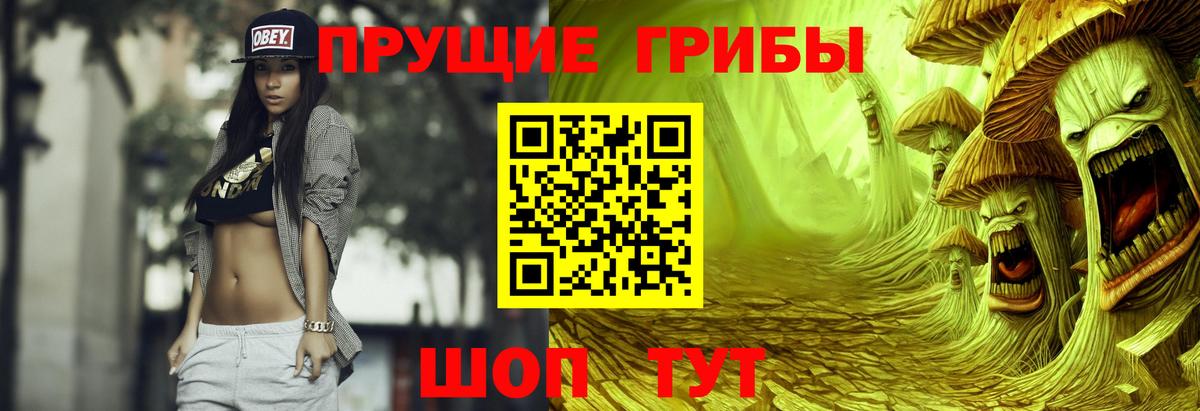 Псилоцибиновые грибы мицелий Среднеуральск